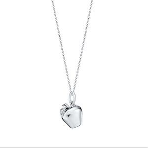 Tiffanys Apple charm w chain & gift receipt